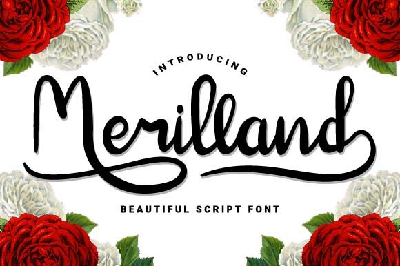 Merilland Font: A Designer’s Campaign Review