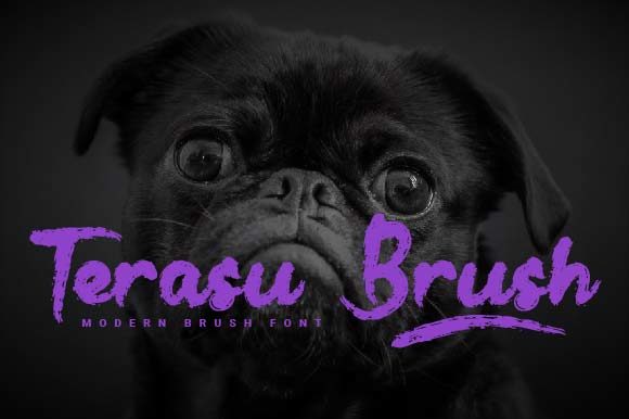 Terasu Brush: A Handwritten Font for Modern Web Design